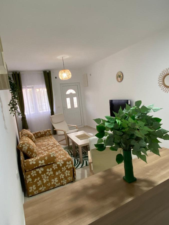Kotor Apartman Green Sailor Apartman Kültér fotó